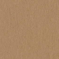 Beige cardboard (GR-C004)